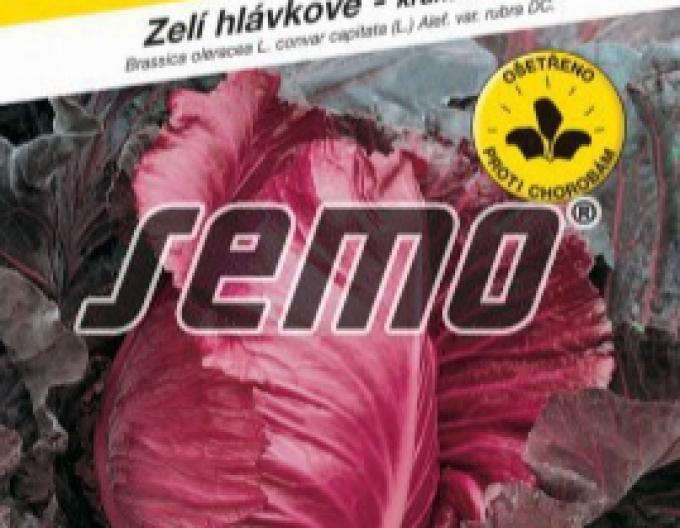 Saatgut Rotkohl Kalibos