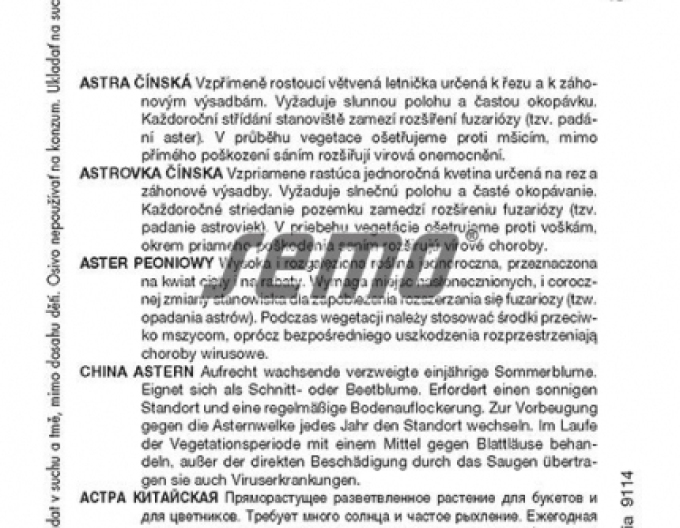 Semo Aster  Matsumoto Mix