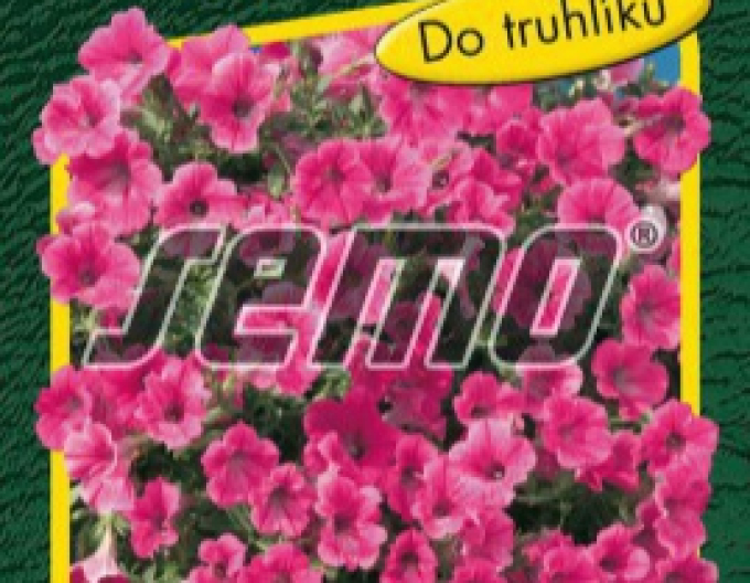 Semo Petunie Rose Vein Velvet F1