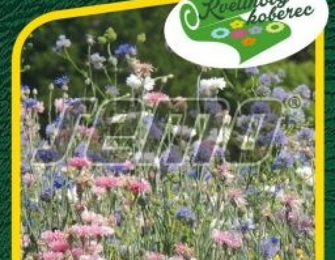 Semo Floral Teppich Pastell Romance