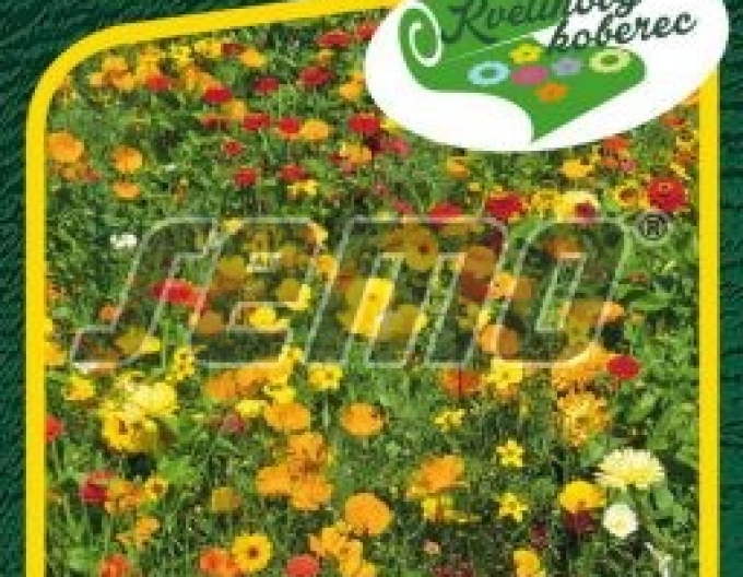 Semo Blumenteppich Tausende von Lichtern