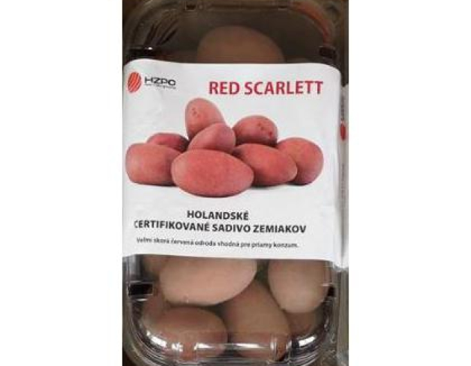 Pflanzkartoffeln Red Scarlett cca 1kg