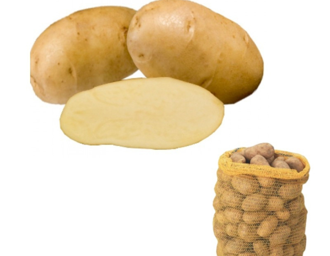 Pflanzkartoffeln Agria 5kg