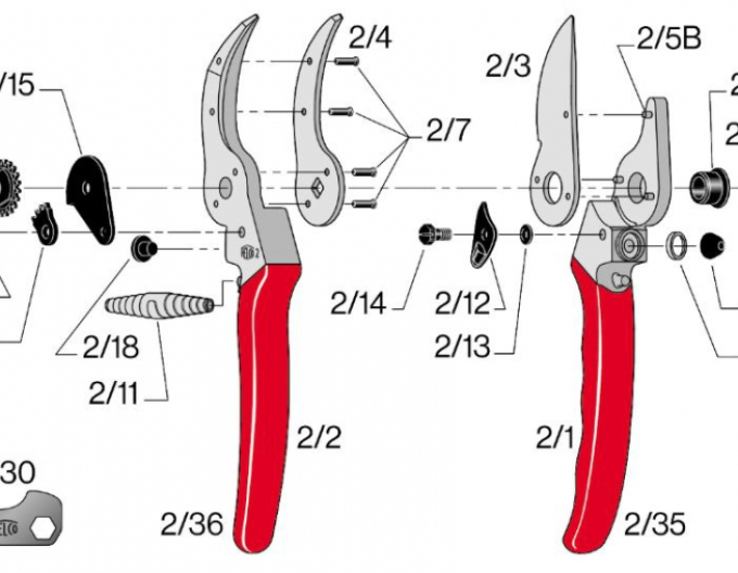 Felco 2/17 Schraube für Zahnsegment (Felco 2)
