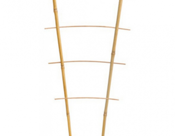 Bambusstütze doppelte PB2 120cm