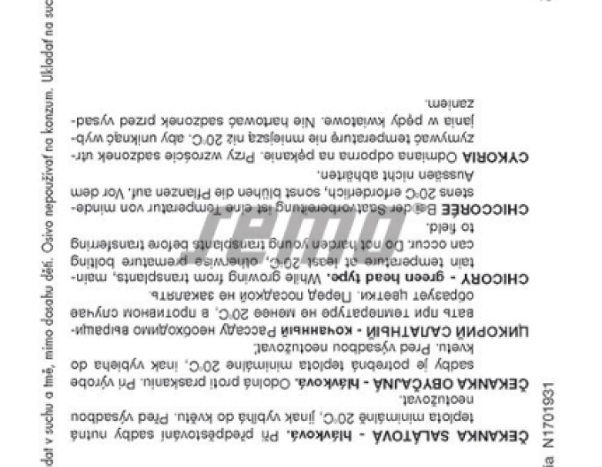 Semo Chicorée Bravo