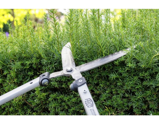 FELCO 250 - 57 Heckenschere 57cm