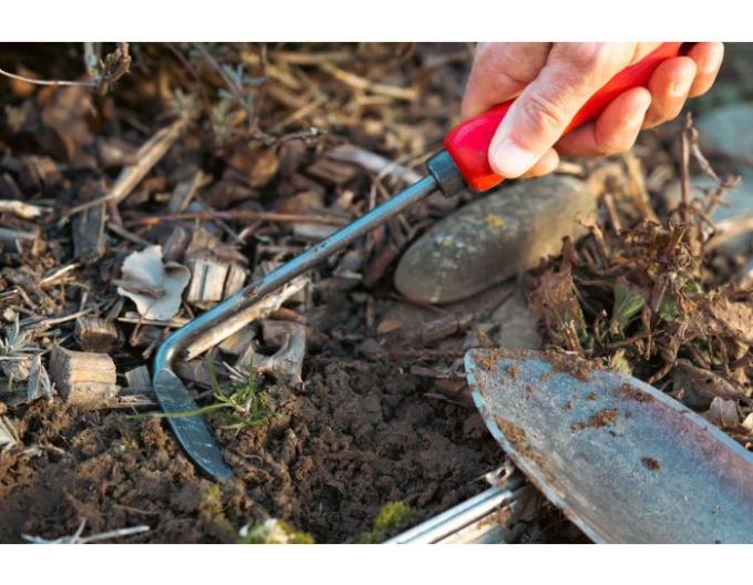 FELCO 421 Unkrautentferner