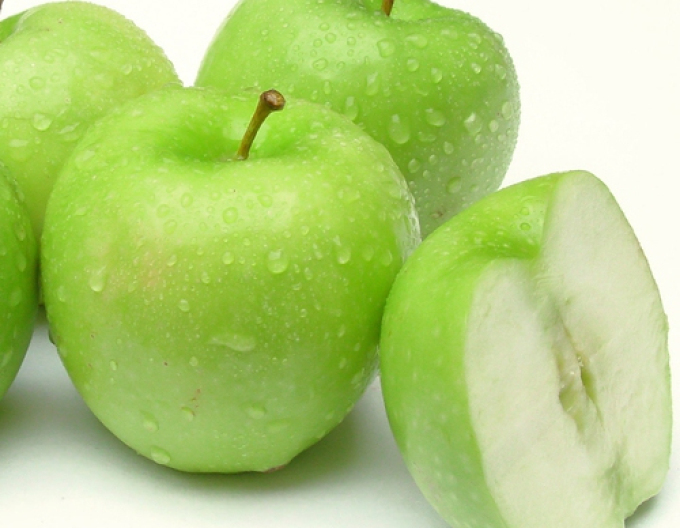 Apfelbaum Grany Smith auf A2, wurzelnackt