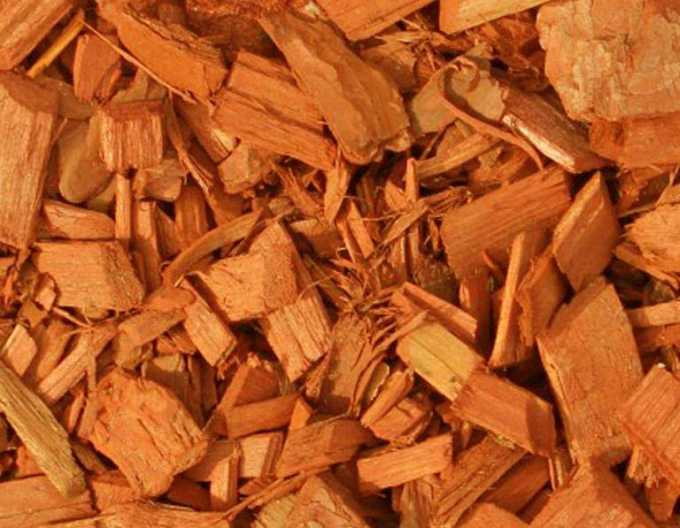 Floria Dekorative Holzspäne orange 70l