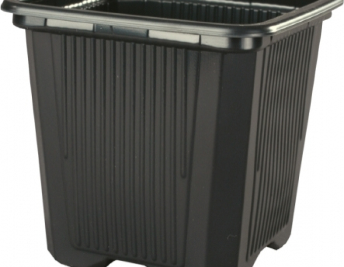 Quadratischer Blumentopf aus Kunststoff 7x7x8 - 10St.