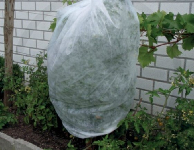 Vliesstoff weiß 17g/m2 1,6 x 5m