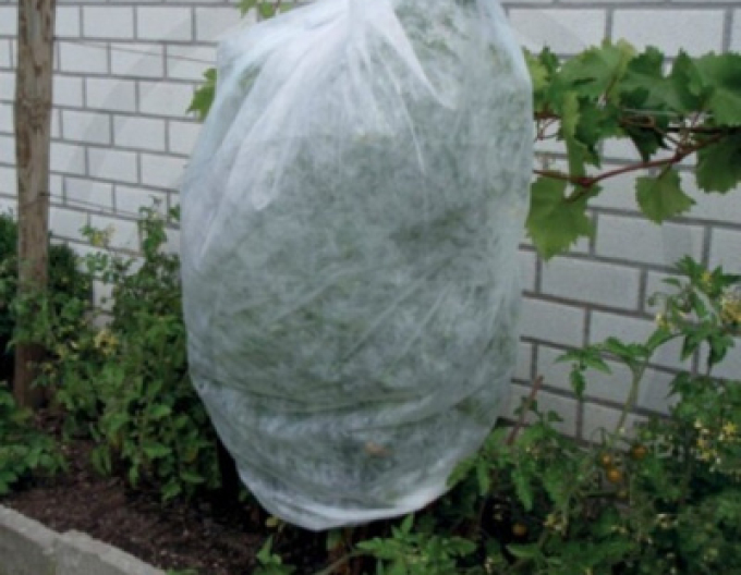 Vliesstoff weiß 17g/m2 1,6 x 50m