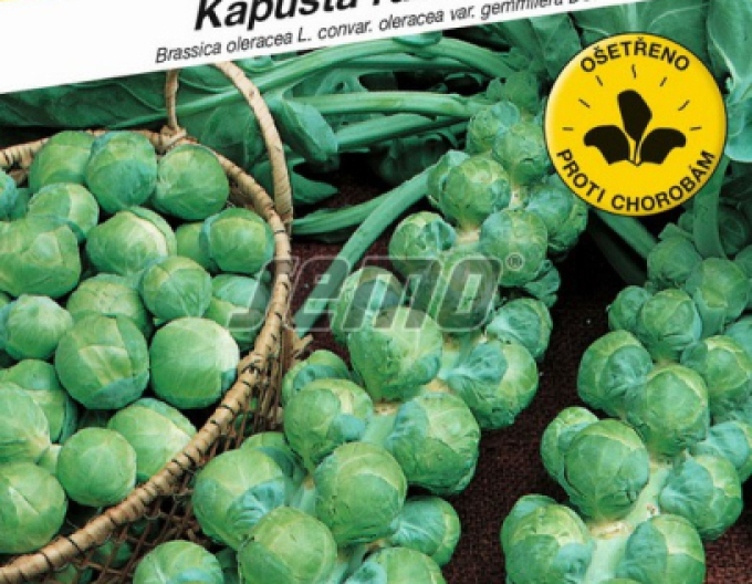 Semo Wirsing Groninger