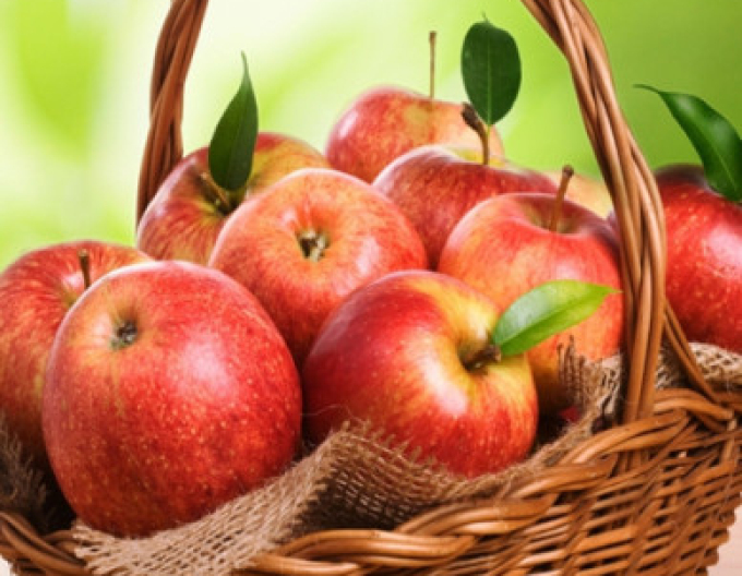 Apfel Jonagold, auf A2, wurzelnackt.