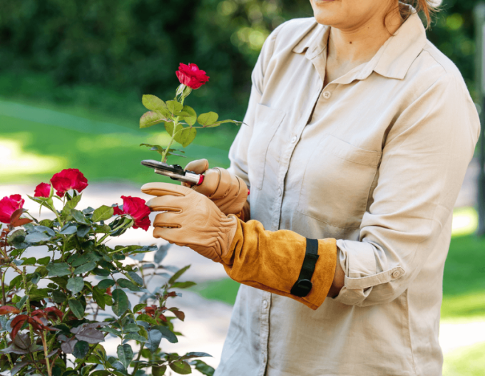 FELCO 705 Handschuhe für Rosen