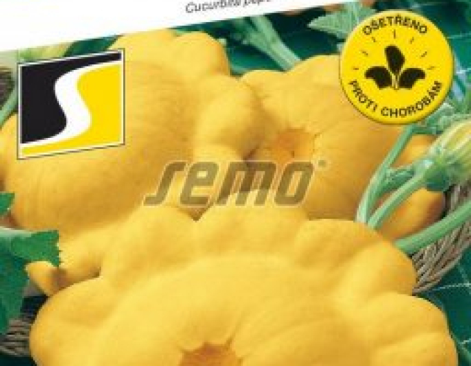 Semo Patisson Sunseance F1