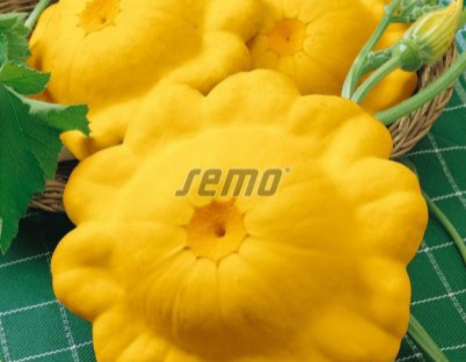 Semo Patisson Sunseance F1