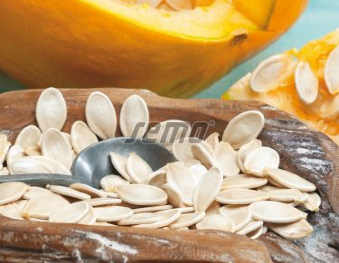 Semo Riesenkürbis Gurman (SM 396/19)