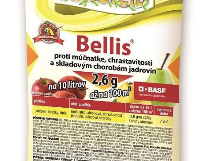 BELLIS 2,6g