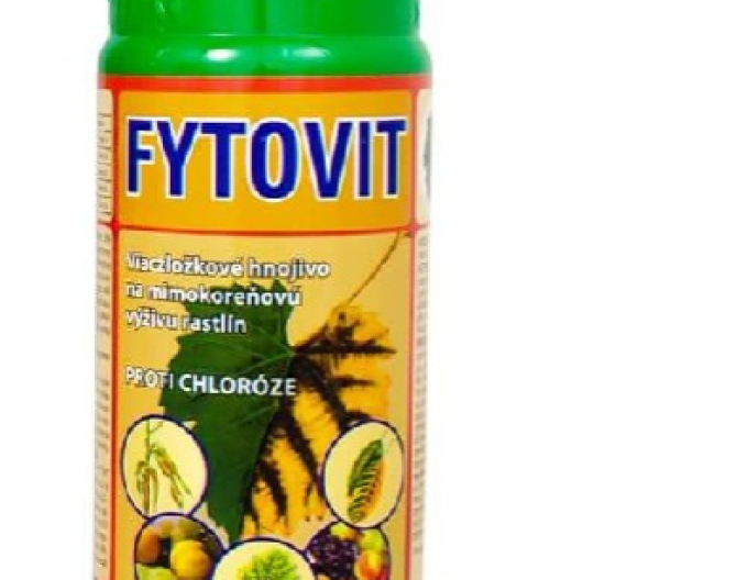 Phytovit 0,5l - gegen Chlorose