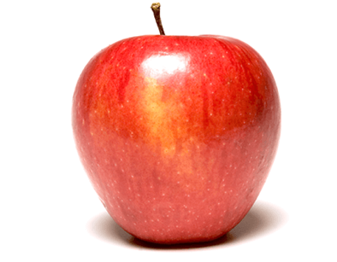 Apfel Pinova, auf  A2, wurzelnackt