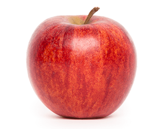 Apfelbaum Gala Mitchgla, Herbst, sub. MM106, frei.