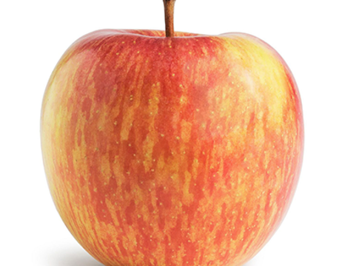 Apfel Fuji auf M9, wurzelnackt