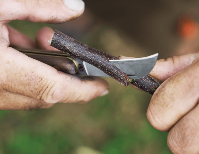 FELCO 511 Veredelungsmesser für Weinreben