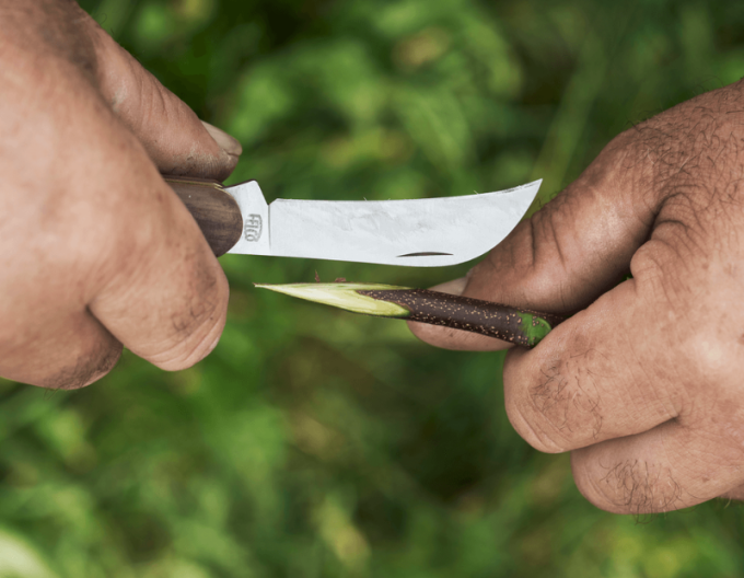FELCO 511 Veredelungsmesser für Weinreben