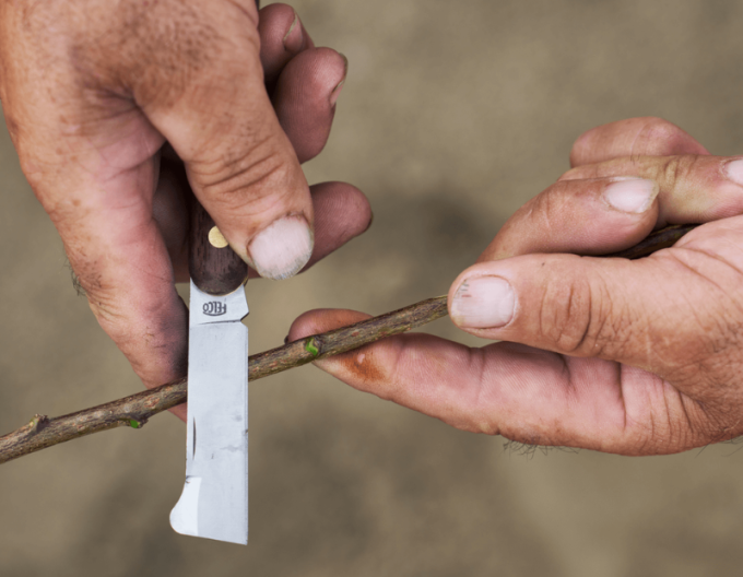 FELCO 512 Veredelungsmesser