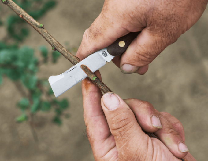 FELCO 512 Veredelungsmesser