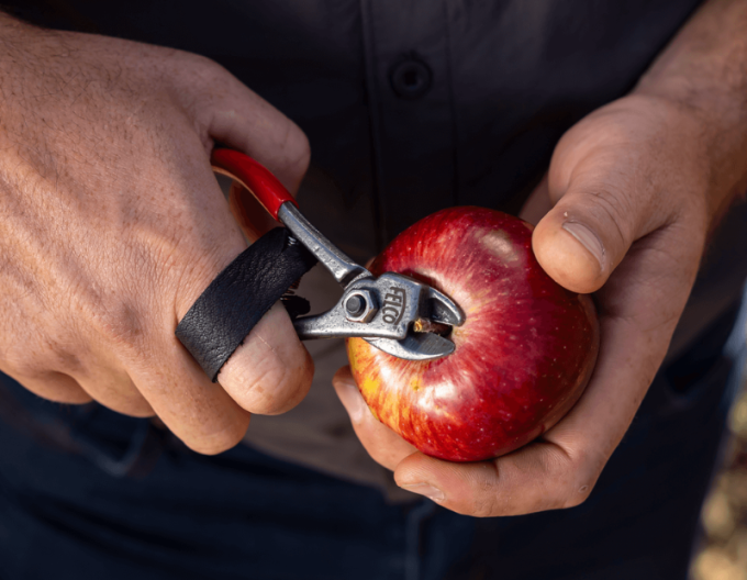 FELCO 330 Obstschere