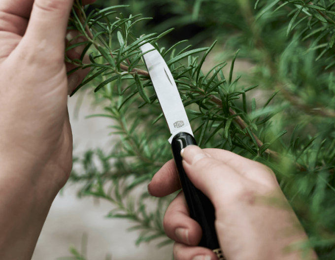 FELCO 520 Floristenmesser