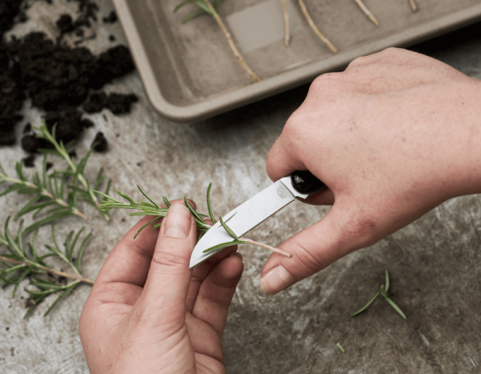 FELCO 520 Floristenmesser