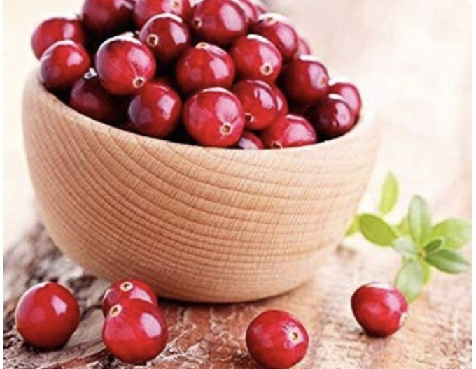 Preiselbeere Ben Learl