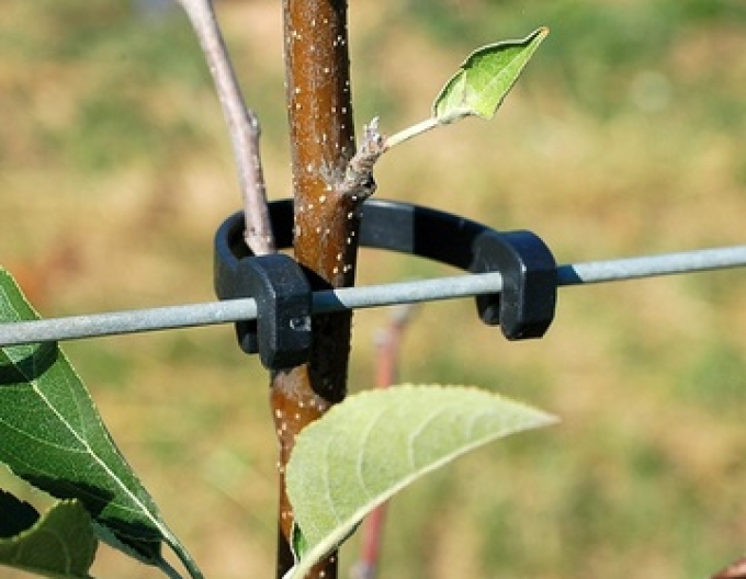 STAMMHALTER flexibles Band 175 mm lang