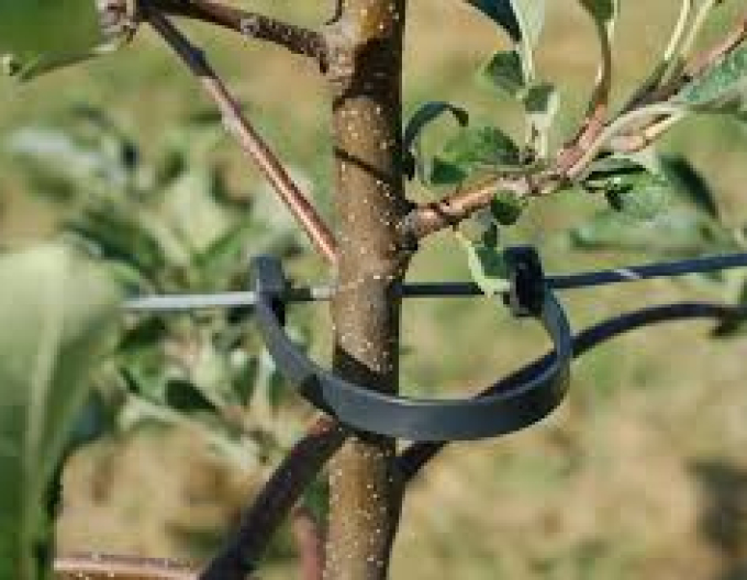 STAMMHALTER flexibles Band 175 mm lang