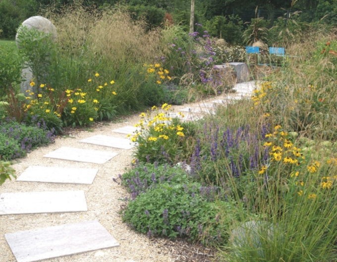 Schmiele Goldschleier 9x9