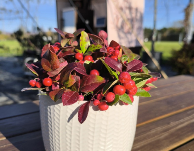 Keramischer Übertopf, weiß, glänzend