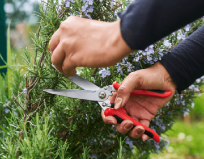 FELCO 456 Universalschere