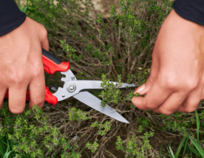 FELCO 456 Universalschere