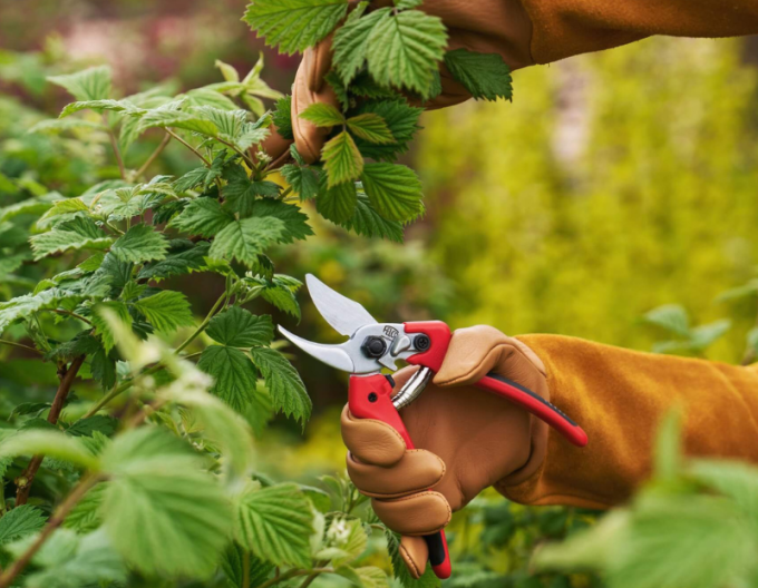 FELCO 171M Schere + FELCO 902 Schleifmaschine