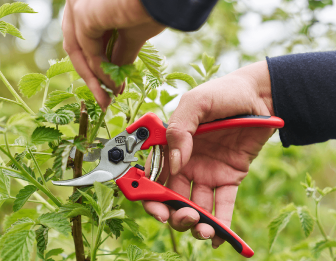 FELCO 171M Schere + FELCO 902 Schleifmaschine