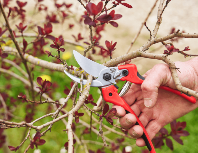 FELCO 171L Schere + FELCO 902 Schleifmaschine