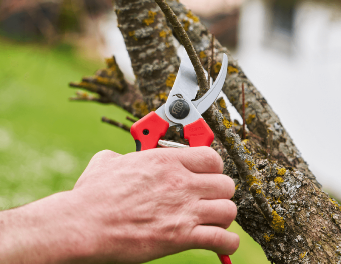 FELCO 171L Schere + FELCO 902 Schleifmaschine