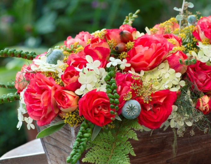 Rose Gebrüder Grimm