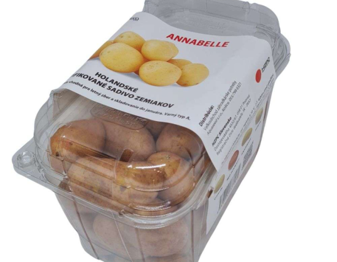 Pflanzkartoffeln Annabelle Kübel 1kg
