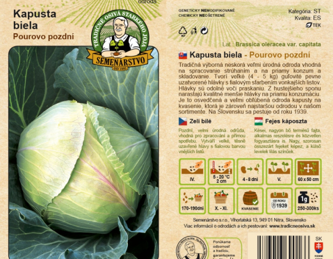 Weißkohl „Pourovo Spät“