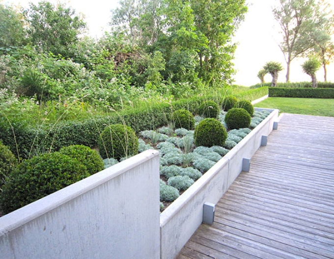 Palina schmidtova Nana